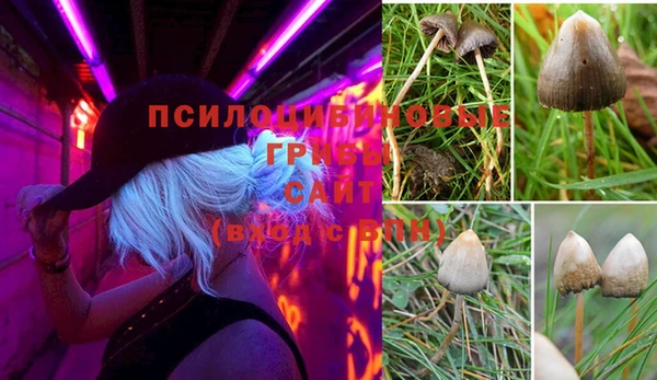 амф Алзамай