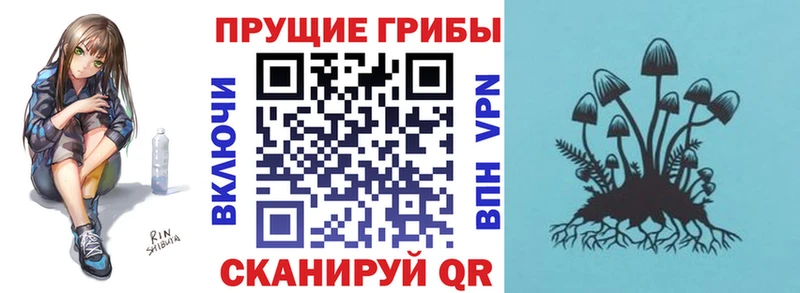 Галлюциногенные грибы Psilocybe  Иркутск 
